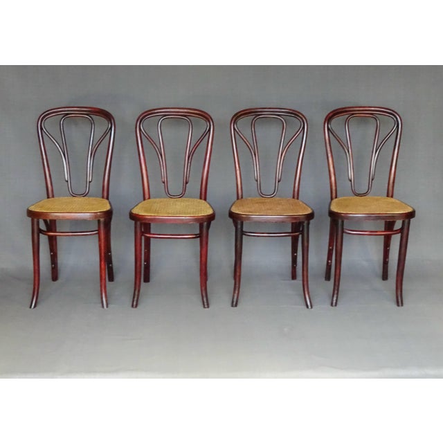 Vienna Secession No. 643 Chairs by Michael Thonet for Gebrüder Thonet, 1915, Set of 4 For Sale - Image 10 of 18