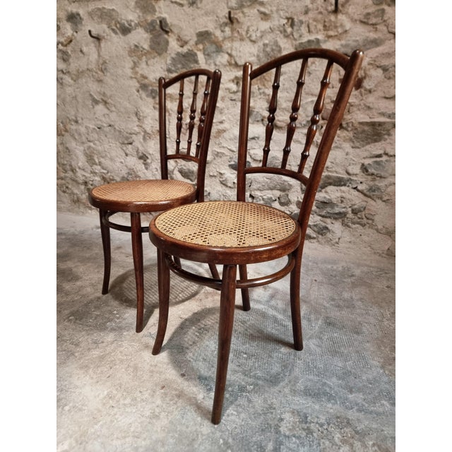 Antique Vienna Bentwood Chairs by Jacob & Josef Kohn, Austria, 1930s, Set of 2 For Sale - Image 3 of 18