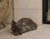 Vintage Cast Iron Sleeping Fox Statue For Sale - Image 11 of 12