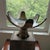 Wood Mid-Century Modern 19" Two-Tone Monkey Pod Wood Lotus Petal Pedestal Centerpiece For Sale - Image 7 of 17
