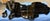 Abstract Africa Mirror by Paolo Cattelan for Cattelan Italia For Sale - Image 3 of 4