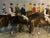 This is a signed hand-colored lithograph of an engraving titled "Our Leading Jockeys of the Day", after a painting by...