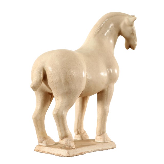 Contemporary White Terra Cotta Stallion For Sale - Image 4 of 7