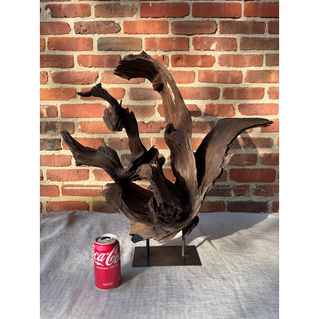 Vintage Teak Wood Root Sculpture on Metal Stand For Sale - Image 10 of 17