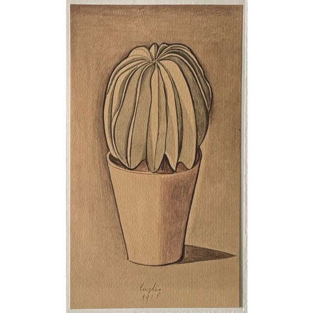 Giorgio Morandi, Cactus, 1973, Lithograph For Sale - Image 3 of 10