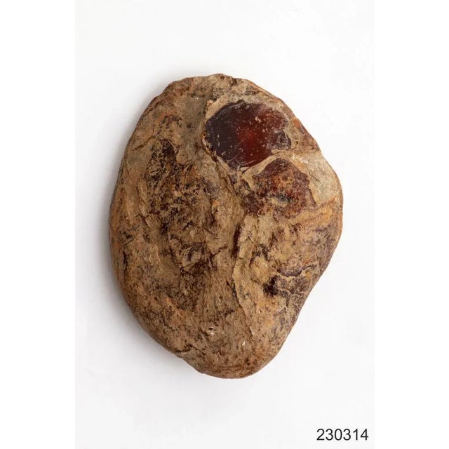 Large Amber Stone Gemstone, 1960s For Sale - Image 9 of 10