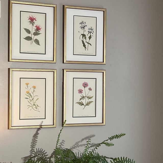 This beautiful set of 4 gold wood framed original vintage botanical prints were published in 1953. These 73 year old mid-...