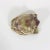 Gemstone Vintage Carved Onyx Frog Figurine or Paperweight For Sale - Image 7 of 10