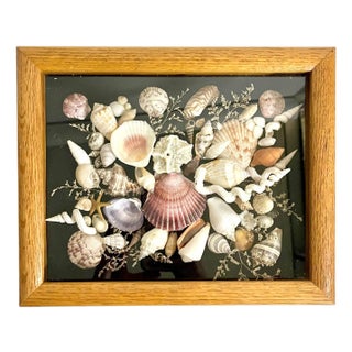Vintage Wood Framed Seashell Shadow Box Folk Art Wall Sculpture For Sale