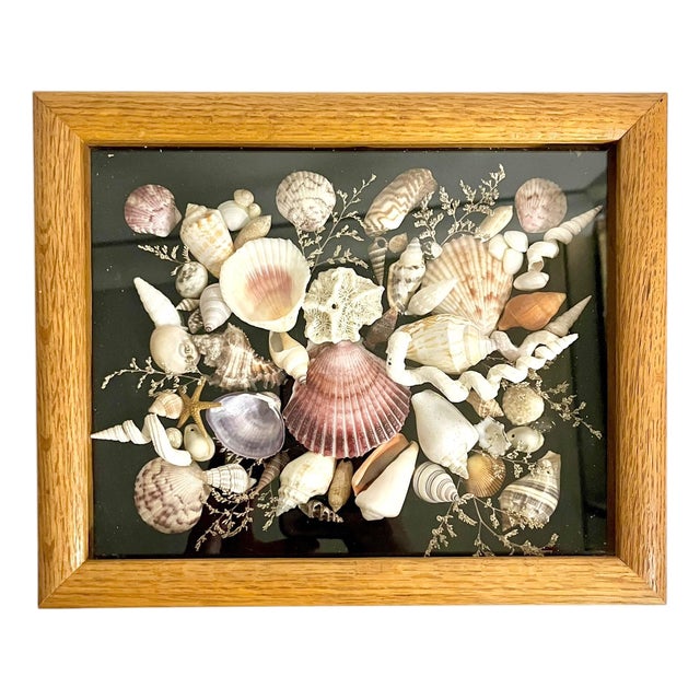 Vintage Wood Framed Seashell Shadow Box Folk Art Wall Sculpture For Sale