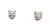 14 Karat White Gold And Round Diamond Four Prong Stud Earrings Screw back 0.40 total diamond weight 0.91 grams total weight.