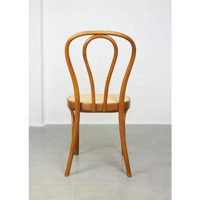Wood Set of Vintage No. 218 Dining Chairs by Michael Thonet For Sale - Image 7 of 13