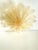 Venetian Amber ” Leaves Graniglia” Murano Glass Flush Mount For Sale - Image 6 of 8