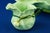 Art Nouveau Strawberry Service in Vitrified Majolica by George Jones, England, 1882, Set of 5 For Sale - Image 14 of 18