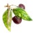 Vintage Tiffany & Co. France Diamond Plique a Jour Glass Cherries Gold Brooch For Sale - Image 9 of 11