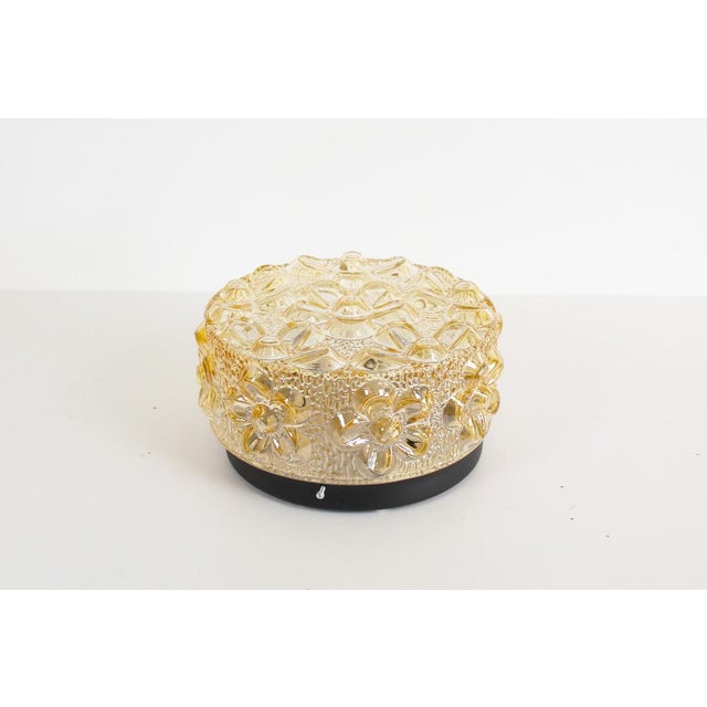 Amber Glass Flower Wall Lamp attributed to Erco, 1970s For Sale - Image 10 of 10