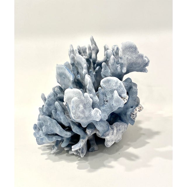 Chinoiserie Natural Blue Coral Specimen Coastal Home For Sale - Image 3 of 7