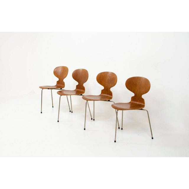 First Edition Ant Chairs by Arne Jacobsen for Fritz Hansen, Set of 4 For Sale - Image 3 of 10