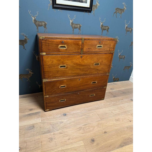 Military Campaign Chest of Drawers For Sale - Image 12 of 13