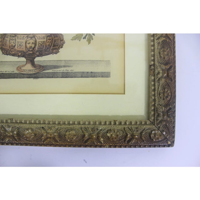 Antique Coloured Botanical Illustration Engraving Antique Wood and Plaster Frame Floral French Art For Sale - Image 4 of 11