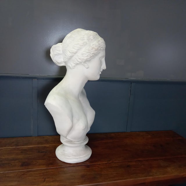 Large Nude Bust of Venus, 1950s For Sale - Image 11 of 15