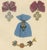 19th Century Plate LXIV Orders of Russia, Saint Andrew and Saint Catherine Insignia, 1844 For Sale - Image 5 of 8