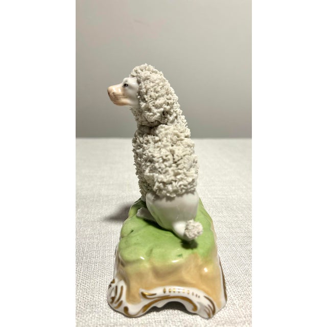 Dresden Porcelain MCM Dresden Germany Porcelain Poodle With Applied Floral Encrustation For Sale - Image 4 of 5
