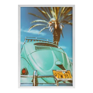 California Beetle by Jens Ochlich Print with White Frame - 40 X 60