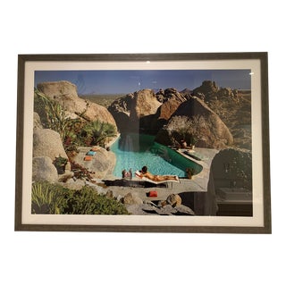 Sunbathing in Arizona, Framed Photograph For Sale