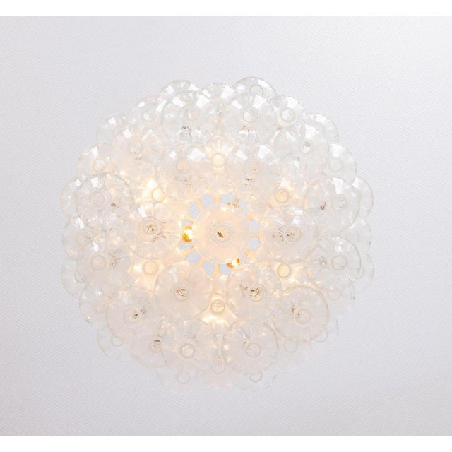 Large Tulipan Glass Chandelier from Kalmar, Austria, 1960s For Sale - Image 12 of 16