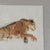 Anthropologie Pouncing Tiger 3 wall art by Wendover Art Group, featuring an expressive tiger in warm watercolor tones on...