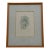 Margot Weemaes 1981 Pittosporum Tobira Botanical Portfolio Print For Sale