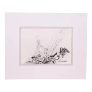 Glen Michaels Modern Contemporary Graphite Drawing Unsigned 13.5h x 16.5w 2000s