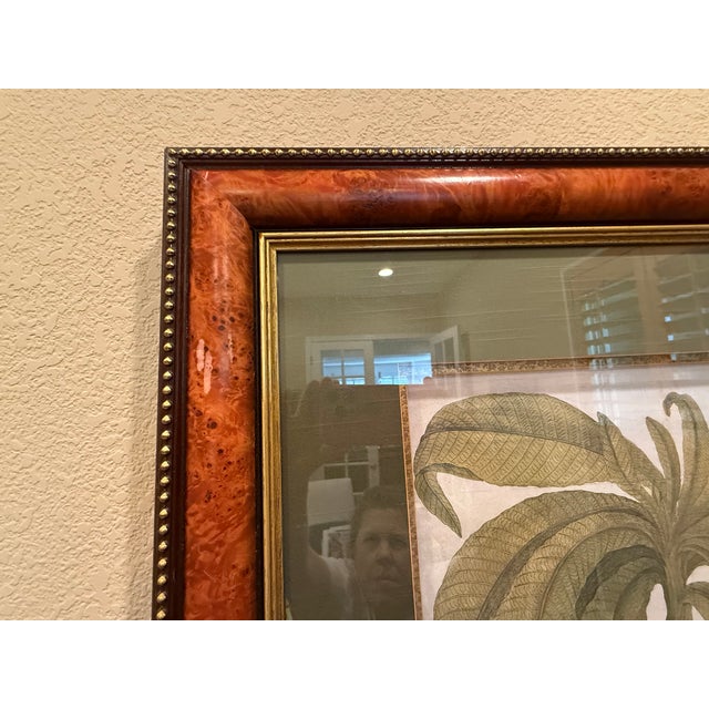 Ethan Allen's framed tropical print of the Anchovy Pear Tree.