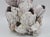 Shell Vintage Organic Modern Coastal Barnacle Conglomerate Sculpture For Sale - Image 7 of 11
