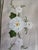 This charming set of eight vintage cotton placemats features delicate white floral appliqués and embroidery accented by...