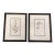 Antique English Botanical Prints Framed-Set of 2 - Authentic 1812 Robert Thorton Prints For Sale