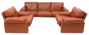 Coronado Living Room Set by Tobia Scarpa for B&b Italia, 1960s, Set of 3
