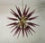 Metal Murano Glass Sputnik Chandelier, Italian Mid Century Modern Brass Light Fixture For Sale - Image 7 of 7