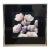 Laitan Home Decorations Floral Print Art Work, Framed For Sale
