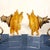 Brass 1960s Rare Authentic Feldman Lighting Co. Custom Resin & Bronzed Brass Sconces - A Pair For Sale - Image 8 of 16