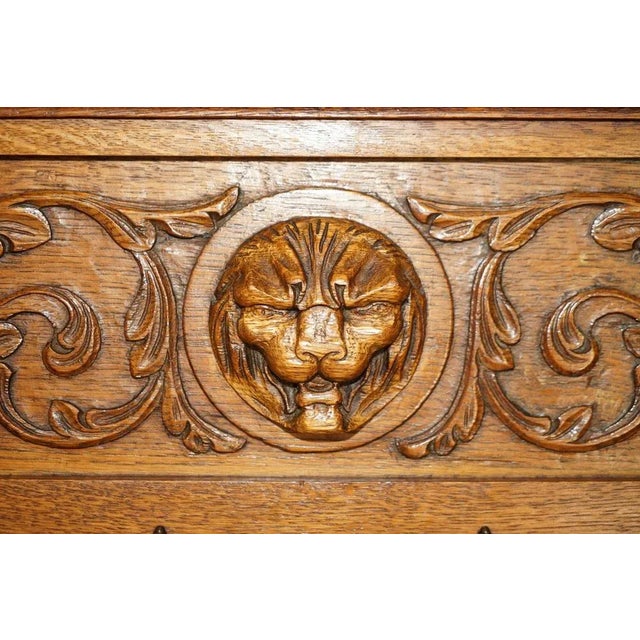 Dutch Oak Heavily Carved Wall Rack with Lion Head For Sale - Image 10 of 13