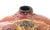 Vintage Dragon Design Oil Storage Vessel For Sale - Image 11 of 14