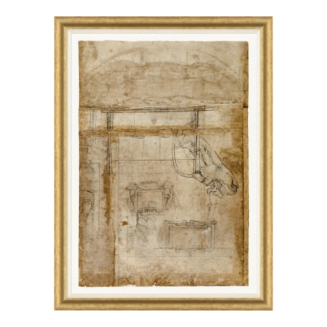 Il Profilo Framed Art Print For Sale