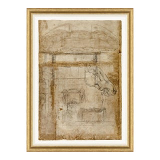 Il Profilo Framed Art Print by David Phoenix For Sale