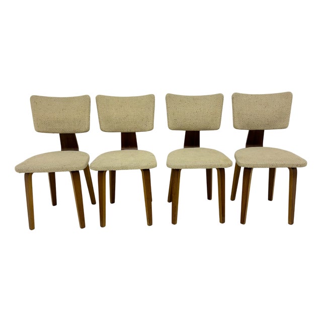 Dutch Plywood Dining Chairs by Cor Alons, 1960s, Set of 4 For Sale