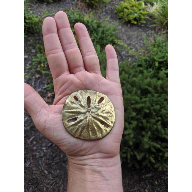 Metal Vintage Coastal Brass Sand Dollar Paper Weight / Decorative Object For Sale - Image 7 of 7