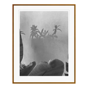 Summer Evening Shadowplay by Stuart Möller Framed