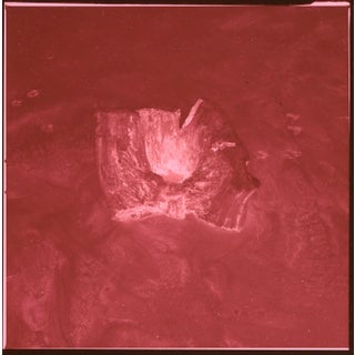 Landscape Cibachrome Photo "La Grande Cote #2" - 2/10 1993 by Jacques Cressaty For Sale