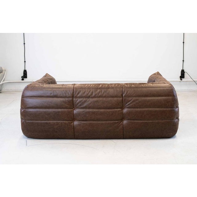 Animal Skin Vintage Two-Seater Togo Sofa with Arms in Brown Leather by Michel Ducaroy for Ligne Roset, 1970s For Sale - Image 7 of 18